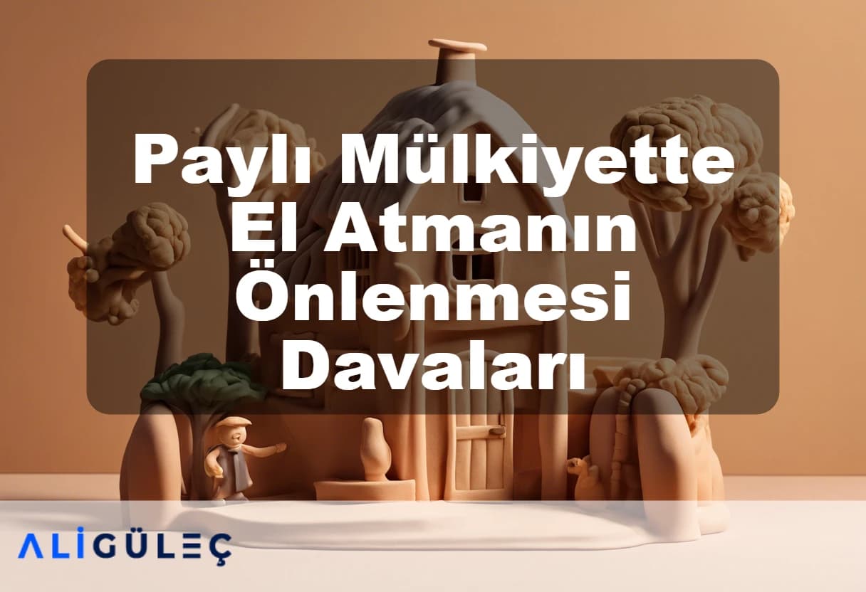 Paylı Mülkiyette El Atmanın Önlenmesi Davaları