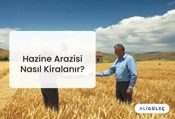 Hazine Arazisi Nasıl Kiralanır?