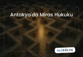 Blog Görseli