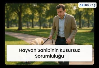 Hayvan Sahibinin Kusursuz Sorumluluğu
