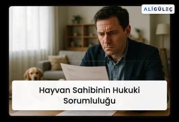 Blog Görseli
