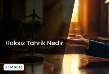 Haksız Tahrik Nedir
