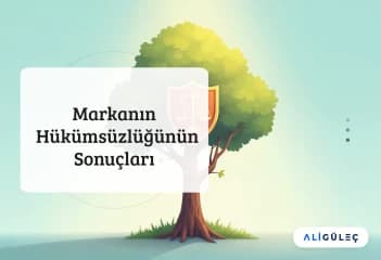 Blog Görseli